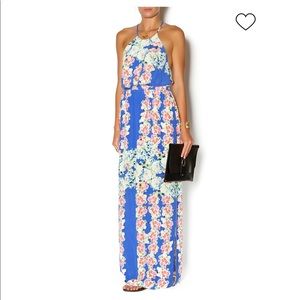 Charlie Jade Silk Maxi Dress